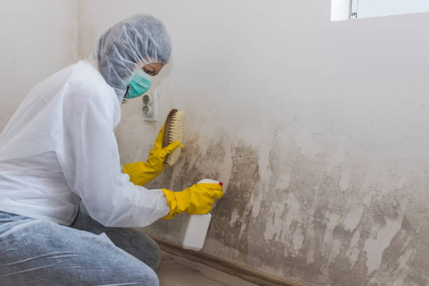 Best Residential Mold Inspection & Testing  in Mill Bay, AK