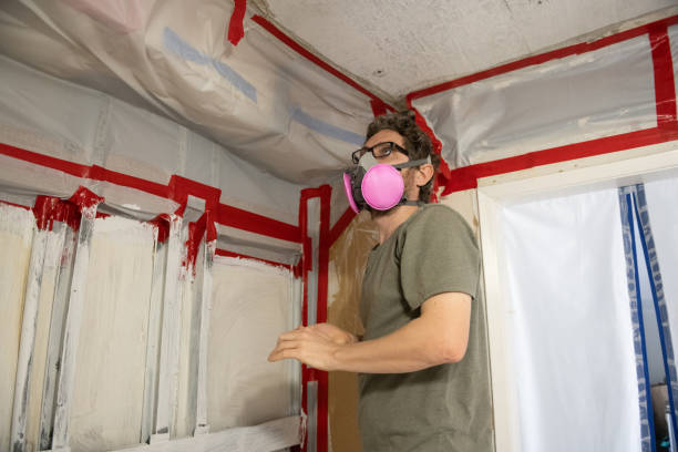 Best HVAC Mold Inspection and Cleaning  in Mill Bay, AK