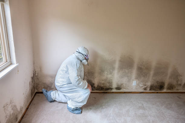 Best Mold Remediation for Healthcare Facilities  in Mill Bay, AK