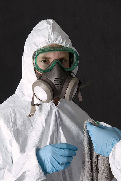 Best Biohazard Mold Removal  in Mill Bay, AK